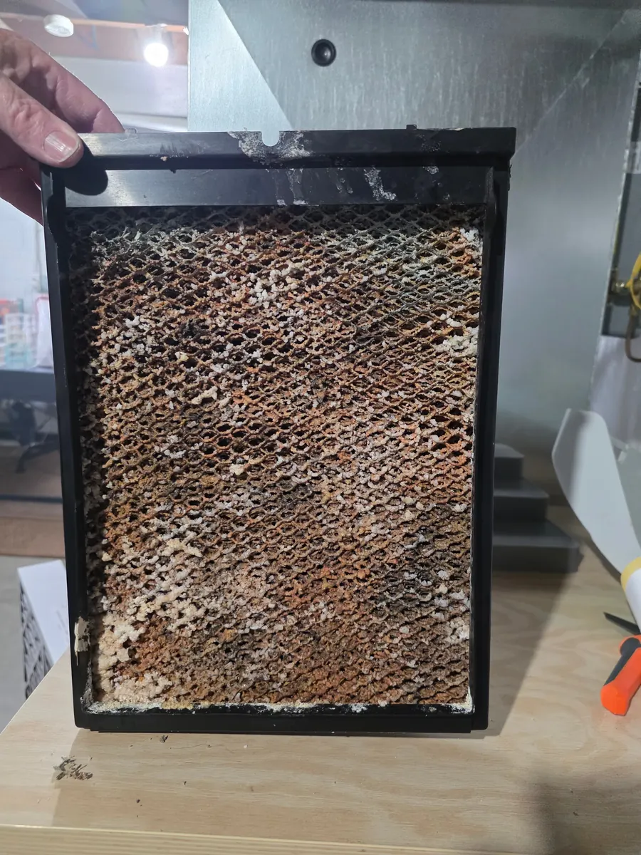 A fouled humidifier media panel removed from a home HVAC system