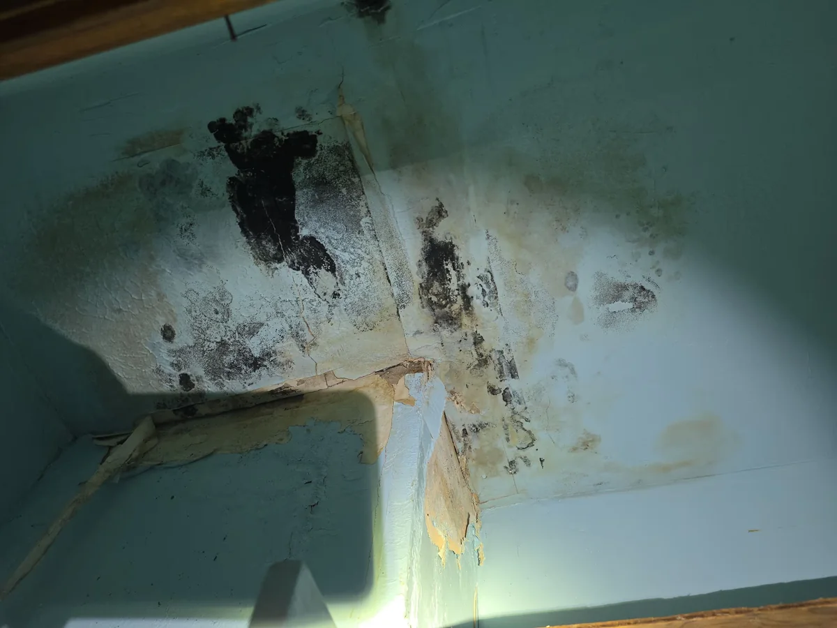Water staining and mold growth in a painted ceiling corner